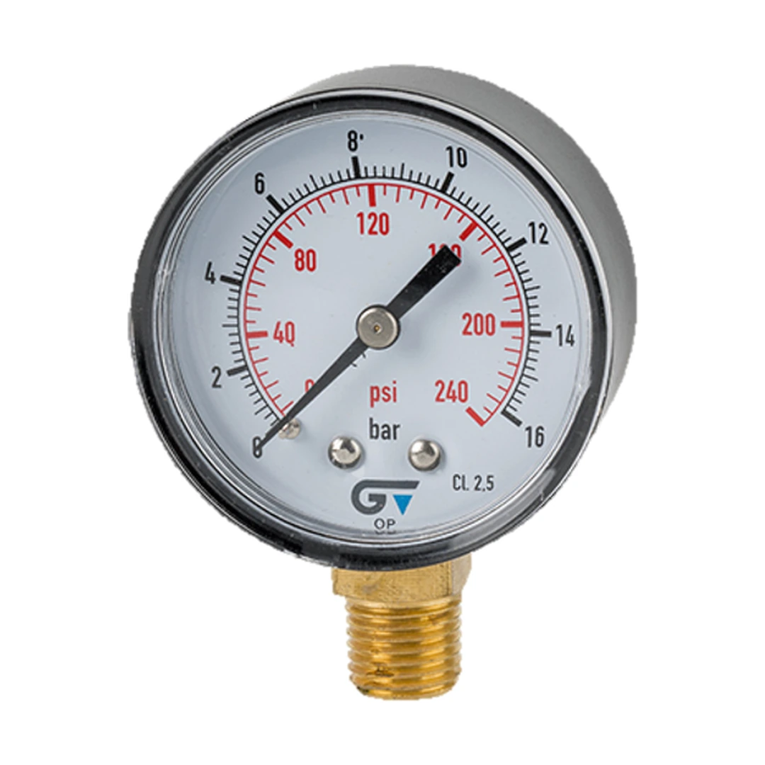 Manómetro radial NPT D53