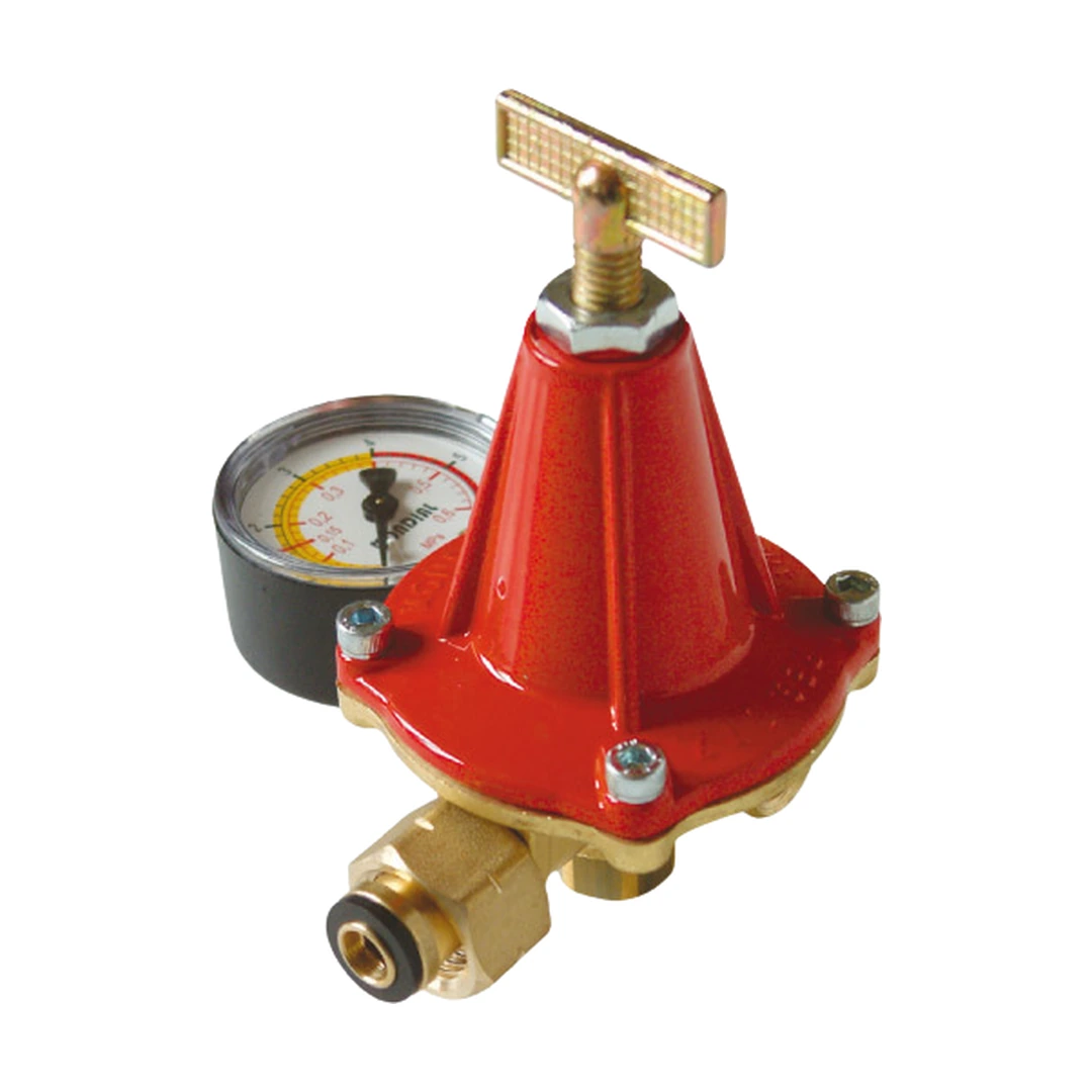 Reductor alta presión regulable con manómetro 12 kg/h