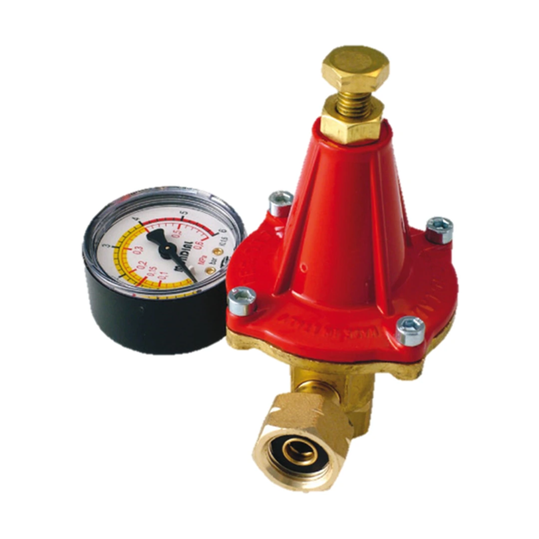 Reductor alta presión regulable con manómetro 25 kg/h
