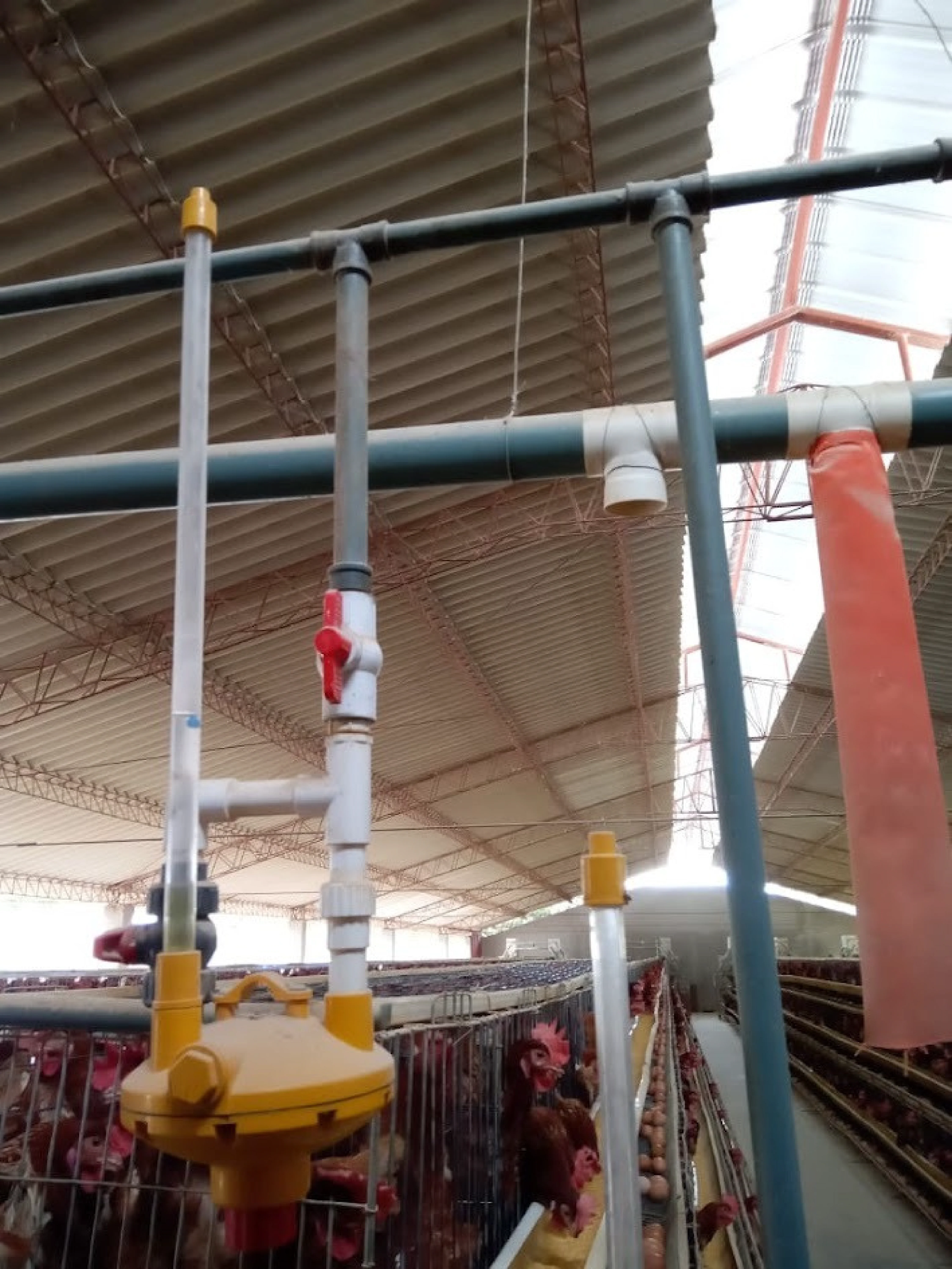 Instalaciones sanitarias — proyecto 7